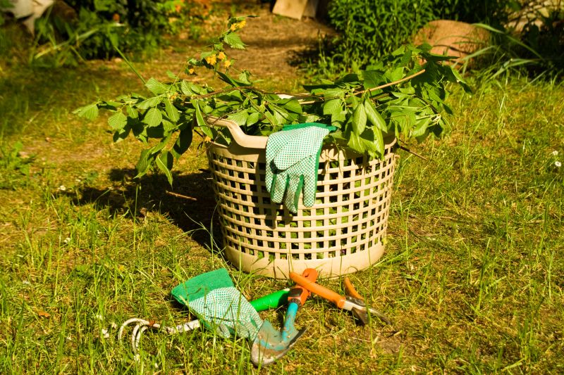Allgemeine Gartenarbeiten, grüne Handschuhe, Schere, Hacke, Gartenkralle, Kübel auf Rasen